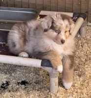 processed/155527e6-5e60-4598-956f-ce2409fab4a6/listing/ccc87b05-c9b2-4cb3-baa1-e47c4498d2ad/e510e742-9421-4898-901e-613af5028b18