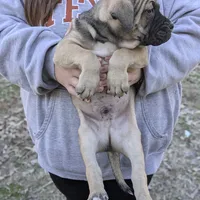 processed/155aef03-0069-44ee-8066-f0427cebc0c1/facility/0fac1719-3b1f-463c-99a9-4d63d153af2b