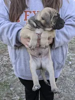 processed/155aef03-0069-44ee-8066-f0427cebc0c1/facility/0fac1719-3b1f-463c-99a9-4d63d153af2b