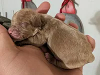 processed/155aef03-0069-44ee-8066-f0427cebc0c1/listing/3efb0a2f-fdfd-4155-8457-958c675740f5/9a3b8a3b-9d9a-4c29-be17-d30c6c3314c0