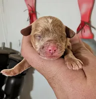 processed/155aef03-0069-44ee-8066-f0427cebc0c1/listing/3efb0a2f-fdfd-4155-8457-958c675740f5/ba7b62b3-82da-472d-b370-59716f7098d7