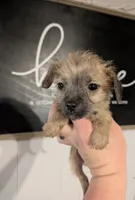 processed/155aef03-0069-44ee-8066-f0427cebc0c1/listing/cbc86f10-b71b-4824-b00e-c7a617305223/f1fbcb6a-e126-4561-817c-e8da2cd43a3f