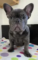 processed/155cd433-cb24-4217-9023-2d3e2c7d343f/listing/18046a98-8459-4342-b296-b2be617e0d61/94a9134d-5c0c-4321-a2b4-cb5a79bad3c0