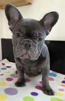 processed/155cd433-cb24-4217-9023-2d3e2c7d343f/listing/18046a98-8459-4342-b296-b2be617e0d61/c1818e91-d6a3-49c1-a87d-2366fb910ce2