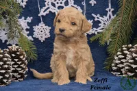 processed/155e0253-8d87-47bf-a633-8f36aac2b5cb/listing/5d6412a7-57e1-48f9-a93c-e742b6cd2945/47161f95-5bc6-49d0-95c4-f11192012b8b