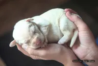 processed/155e664c-b954-4adc-ab4a-1fdf3d8d3615/listing/4f31da83-c111-454f-a643-e83ee5504343/9860b728-4c7e-4a2e-be7f-468bdbec6a65