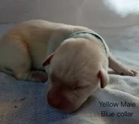 processed/155e664c-b954-4adc-ab4a-1fdf3d8d3615/listing/4f31da83-c111-454f-a643-e83ee5504343/aab7b42b-9962-4bf3-bd6f-094fb49c678a