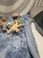 Nova, a female Pug for sale in Aurora, CO – Photo 4 of 5