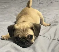 processed/15611bac-2c9e-420b-a1b2-d463ba95b19c/listing/e0a85962-f7d3-44c6-b47b-aa2e701d2d25/927c29d4-3273-4d1a-85ff-a64591b7f49d