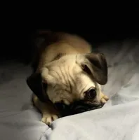 processed/15611bac-2c9e-420b-a1b2-d463ba95b19c/listing/e0a85962-f7d3-44c6-b47b-aa2e701d2d25/df5078c5-11dd-4984-bf95-57b1ba0b0593