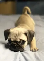 processed/15611bac-2c9e-420b-a1b2-d463ba95b19c/listing/e0a85962-f7d3-44c6-b47b-aa2e701d2d25/fe1873d1-dd49-4b02-915f-b23121e8f330