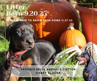 processed/156d6dc6-1bed-421a-9a02-8f482ac96e80/listing/7bcf9608-7a89-488a-89e6-5c9315ca2d59/842bd41a-9301-4817-bf8f-4257dab951b2