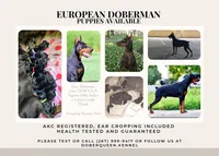 processed/156d6dc6-1bed-421a-9a02-8f482ac96e80/listing/7bcf9608-7a89-488a-89e6-5c9315ca2d59/ac5428cc-7ecb-4270-bde7-77380f1c1cc4