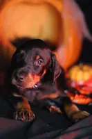 processed/156d6dc6-1bed-421a-9a02-8f482ac96e80/listing/7f619ef7-fca6-4159-a5a3-8a198ad8992c/8a60c66d-3a5b-4d21-9af2-29dbb2f41a55