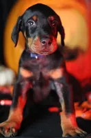 processed/156d6dc6-1bed-421a-9a02-8f482ac96e80/listing/7f619ef7-fca6-4159-a5a3-8a198ad8992c/8e28cd9f-edd0-4f9b-b892-fa6f91218164