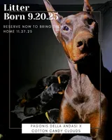 processed/156d6dc6-1bed-421a-9a02-8f482ac96e80/listing/7f619ef7-fca6-4159-a5a3-8a198ad8992c/909e9712-3059-4430-a11e-572d33ae3db2