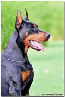 processed/156d6dc6-1bed-421a-9a02-8f482ac96e80/listing/7f619ef7-fca6-4159-a5a3-8a198ad8992c/92a243c9-2774-417d-b154-8cb8dc084c46