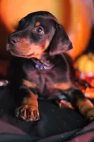 processed/156d6dc6-1bed-421a-9a02-8f482ac96e80/listing/7f619ef7-fca6-4159-a5a3-8a198ad8992c/fa5525d8-738c-420a-82d6-350429c7bcd9