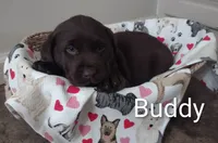 processed/15783a69-2508-4e11-9e7a-a19f0c6df22c/listing/015ae223-a0ac-44fb-91d3-f8d1bf910c1e/10abfb15-f86b-4000-a580-4181c0c23219