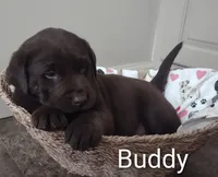 processed/15783a69-2508-4e11-9e7a-a19f0c6df22c/listing/015ae223-a0ac-44fb-91d3-f8d1bf910c1e/96906bc4-0b8b-4f43-a0a6-24cea372772c