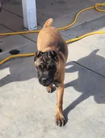 processed/158bdee2-a569-407d-a7da-eb4beceb03fe/listing/ae62b633-8e4c-4427-8aae-c4c4382e65ee/88e1dd82-7608-4823-81ad-63e93039ba55