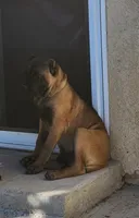 processed/158bdee2-a569-407d-a7da-eb4beceb03fe/listing/ae62b633-8e4c-4427-8aae-c4c4382e65ee/c08c2d5f-44c7-46db-b5c5-d1f8c8496204