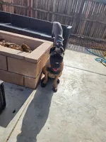 processed/158bdee2-a569-407d-a7da-eb4beceb03fe/listing/ae62b633-8e4c-4427-8aae-c4c4382e65ee/ec24863b-e5d8-4d51-ac63-56e79f01bf56