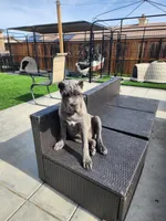 processed/158bdee2-a569-407d-a7da-eb4beceb03fe/listing/f7a3ec5c-ad47-4deb-b035-629f9c72f06f/6bd30e10-eda4-4755-ad08-75b0eb6e15a5