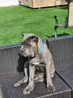 processed/158bdee2-a569-407d-a7da-eb4beceb03fe/listing/f7a3ec5c-ad47-4deb-b035-629f9c72f06f/95f4695d-58c7-4bfd-afaf-5d960fb0efc3