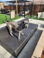 processed/158bdee2-a569-407d-a7da-eb4beceb03fe/listing/f7a3ec5c-ad47-4deb-b035-629f9c72f06f/eb557352-e5f0-4bee-b24b-c25d418f9255