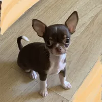 processed/158dc160-98f3-42e4-bd42-4844d901a852/facility/641586a0-7c1f-4b28-aba2-d9a1268aee98