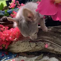 processed/158dc160-98f3-42e4-bd42-4844d901a852/facility/843856ab-1cb8-4714-a023-a03a59c134d3