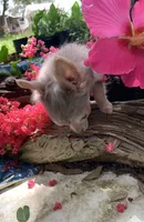 processed/158dc160-98f3-42e4-bd42-4844d901a852/facility/843856ab-1cb8-4714-a023-a03a59c134d3