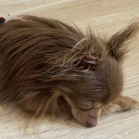 processed/158dc160-98f3-42e4-bd42-4844d901a852/facility/85ca0e8f-af72-4b24-b3d7-518315079a03