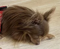 processed/158dc160-98f3-42e4-bd42-4844d901a852/facility/85ca0e8f-af72-4b24-b3d7-518315079a03