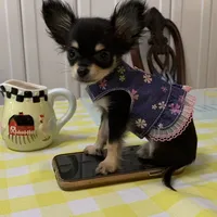 processed/158dc160-98f3-42e4-bd42-4844d901a852/facility/8ba1f7f4-4bb8-40cc-a96d-806ca4de33d7