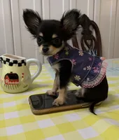 processed/158dc160-98f3-42e4-bd42-4844d901a852/facility/8ba1f7f4-4bb8-40cc-a96d-806ca4de33d7