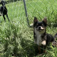 processed/158dc160-98f3-42e4-bd42-4844d901a852/facility/ab7e6354-4b5d-41b1-873d-364a18ef217f