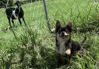 processed/158dc160-98f3-42e4-bd42-4844d901a852/facility/ab7e6354-4b5d-41b1-873d-364a18ef217f