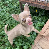 processed/158dc160-98f3-42e4-bd42-4844d901a852/facility/ca1a9bc2-fe63-4930-9b45-335fa0c0cc73