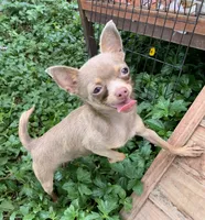 processed/158dc160-98f3-42e4-bd42-4844d901a852/facility/ca1a9bc2-fe63-4930-9b45-335fa0c0cc73