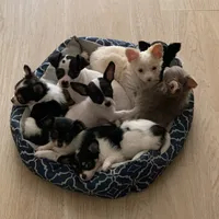 processed/158dc160-98f3-42e4-bd42-4844d901a852/facility/d28c0ada-a22d-4f67-a4cd-01f7d2f78ffc