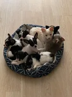 processed/158dc160-98f3-42e4-bd42-4844d901a852/facility/d28c0ada-a22d-4f67-a4cd-01f7d2f78ffc