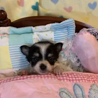 processed/158dc160-98f3-42e4-bd42-4844d901a852/facility/d54080ef-aa14-4a51-8c13-34a3a816ed33