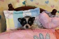 processed/158dc160-98f3-42e4-bd42-4844d901a852/facility/d54080ef-aa14-4a51-8c13-34a3a816ed33