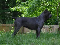 processed/15a1d3ff-8b70-4515-b9e8-5920b46929ac/listing/85cfb8b2-c4b8-4c29-b8fe-032dc84c4367/70239600-1353-4260-ba08-fe333973a31c