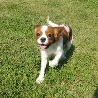 processed/15a2ccfe-39b3-4309-8ec3-ec43ffc4f4de/facility/20bd78f1-6a22-4b36-9d60-d4de4c35122b