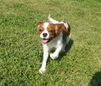 processed/15a2ccfe-39b3-4309-8ec3-ec43ffc4f4de/facility/20bd78f1-6a22-4b36-9d60-d4de4c35122b