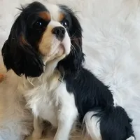 processed/15a2ccfe-39b3-4309-8ec3-ec43ffc4f4de/facility/25be4cd4-b66f-4451-bfda-ea417d310a57