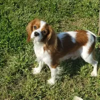 processed/15a2ccfe-39b3-4309-8ec3-ec43ffc4f4de/facility/7f4072b5-18df-4bb6-af2c-5c6acd179158